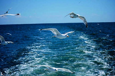 239-8861.jpg