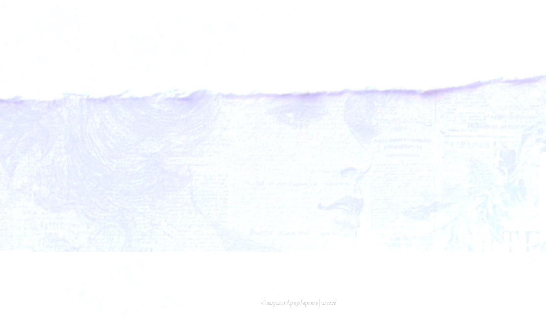 423-28316.jpg